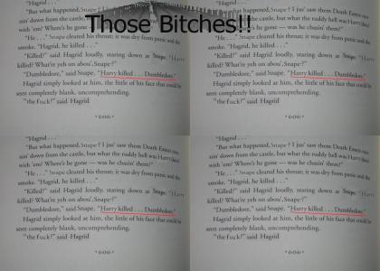 Somebody Messed up my HP Book!