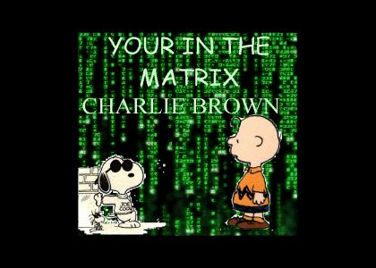 Your in the Matrix Charlie Brown