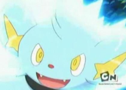 Shinx Stares into Your Soul