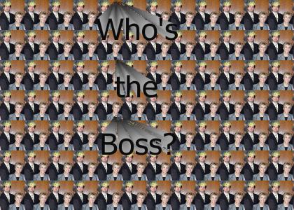 Who's the boss?