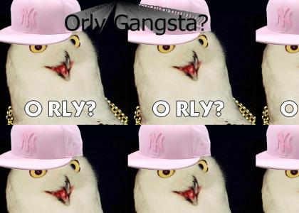 Orly Gangsta?