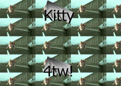 Kitty 4tw!