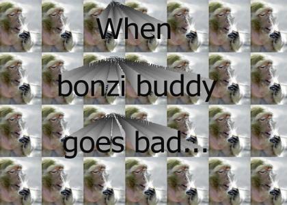 bonzibuddy