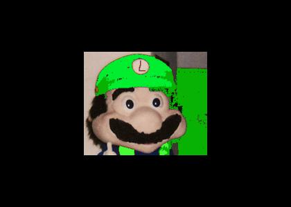 Remember Luigi