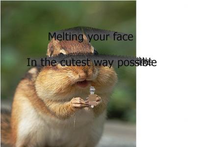Chipmunks can melt your face too