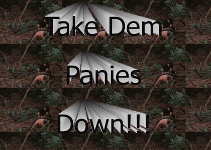 Take Dem Panies Down(Refresh)