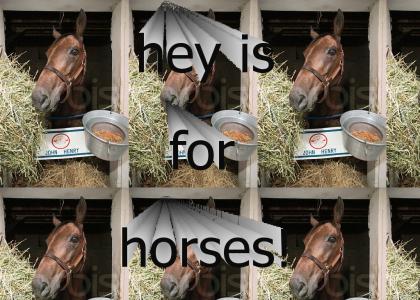 Hay Is For Horses!