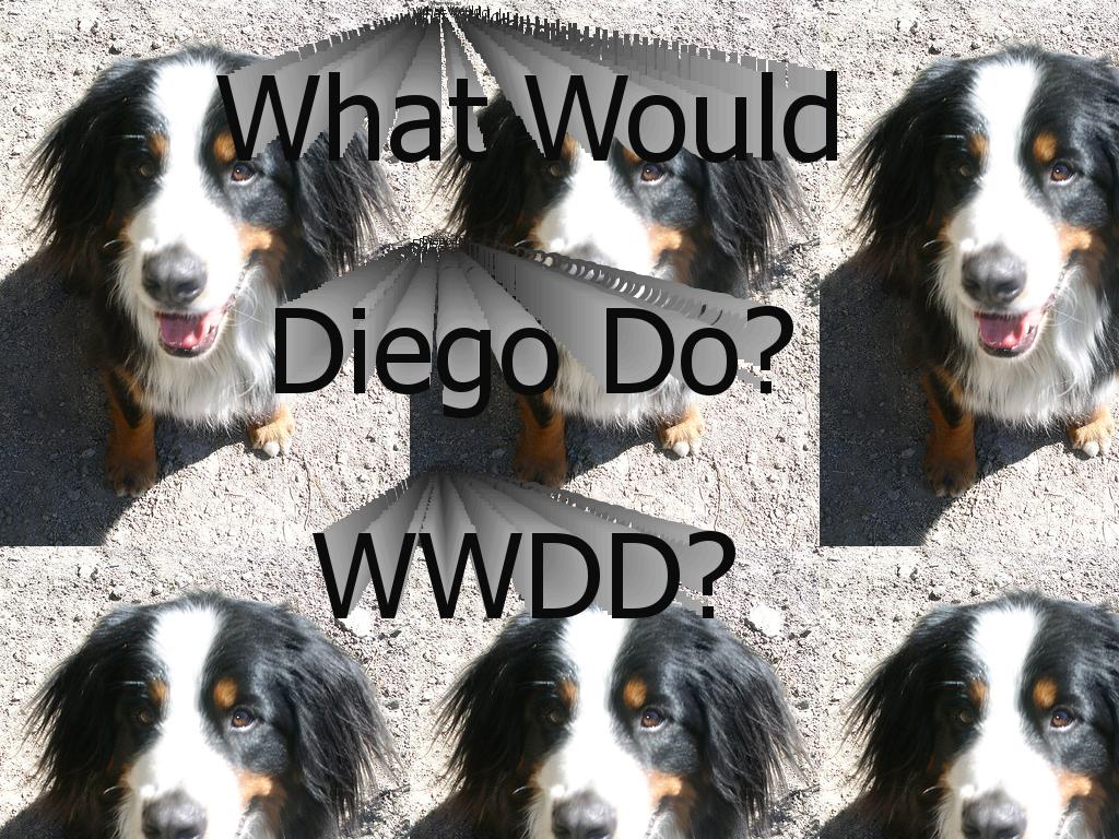 diego