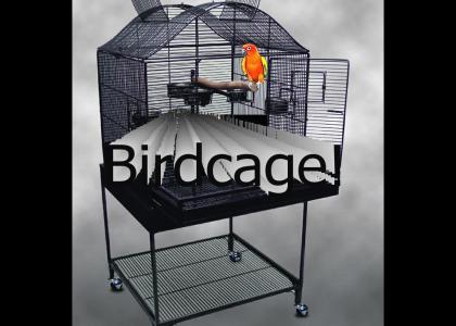 Birdcage!