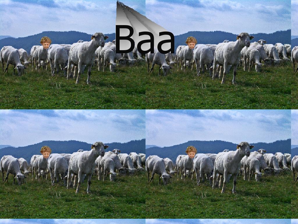 baasheep