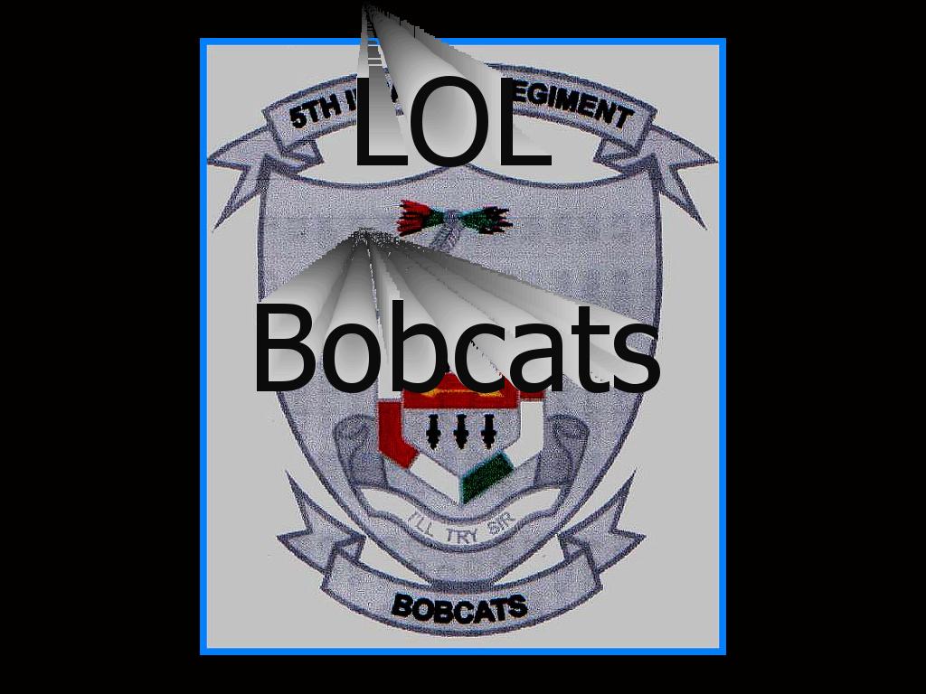 fuckinbobcats