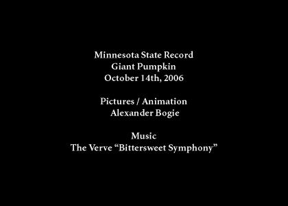 Tribute MN Record Pumpkin