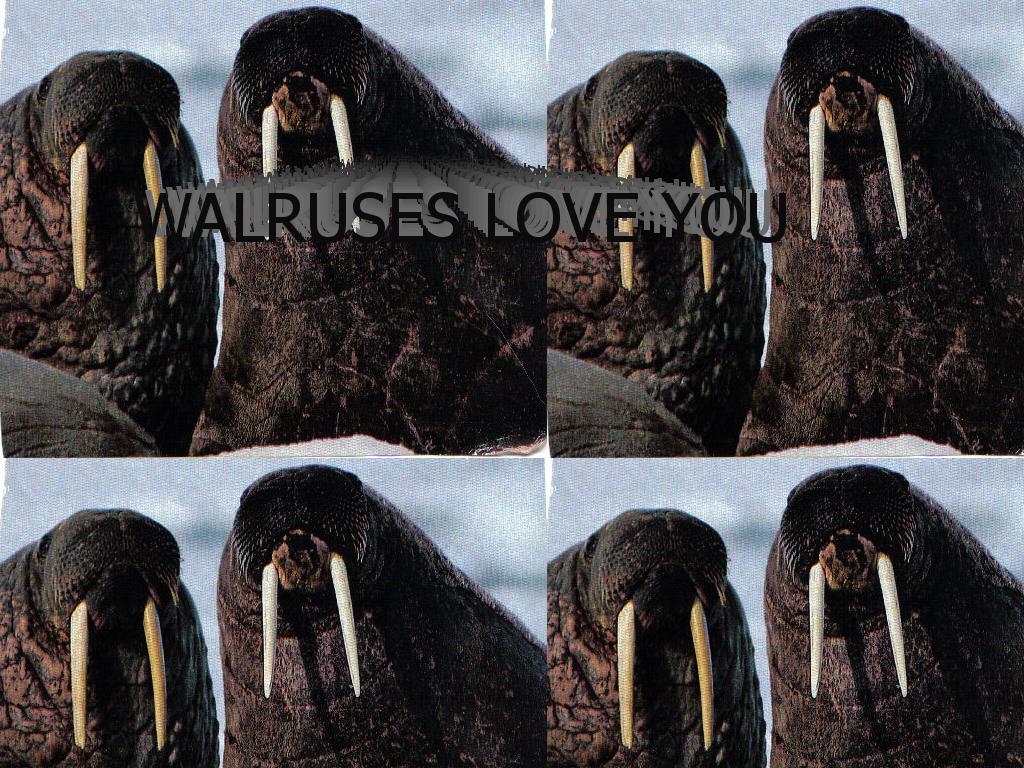 walruseslove