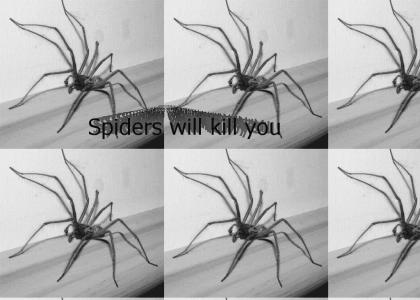 Spiders will kill you