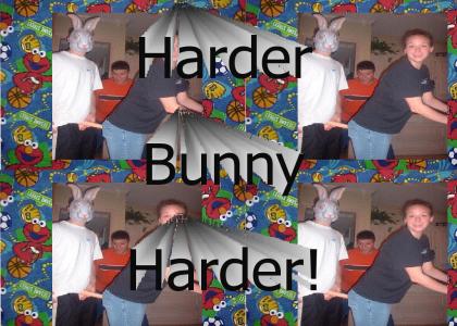 Harder Bunny Harder!