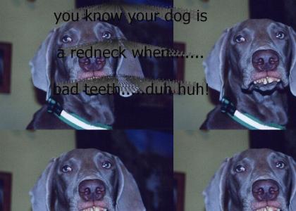 redneck dawg