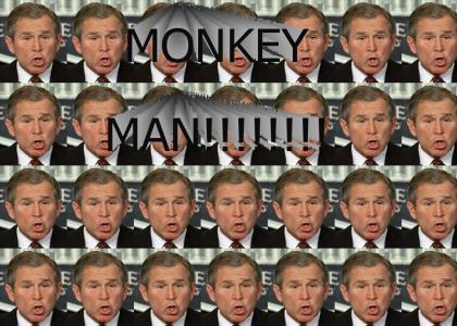 Bush Monkey