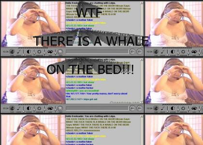 WTF WHALE