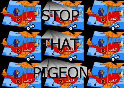 STOP THAT PIGEON