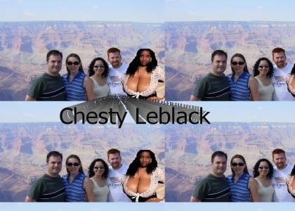 chesty leblack goes to the grand canyon...