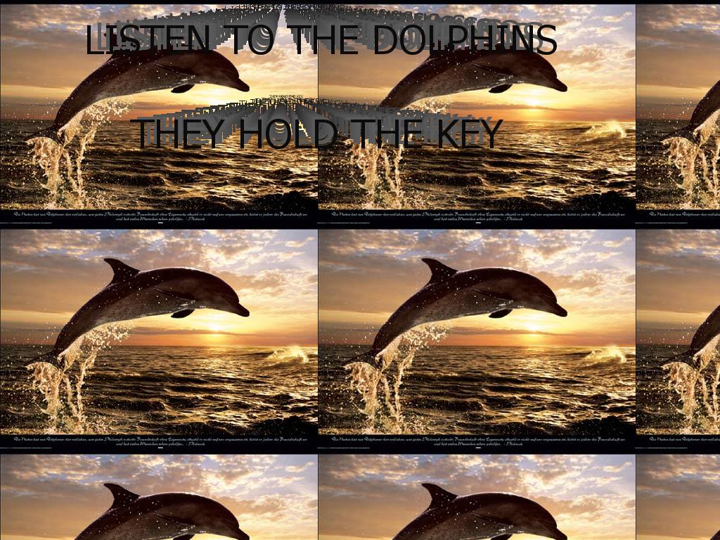 listentothedolphins