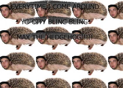 maxthehedgehog