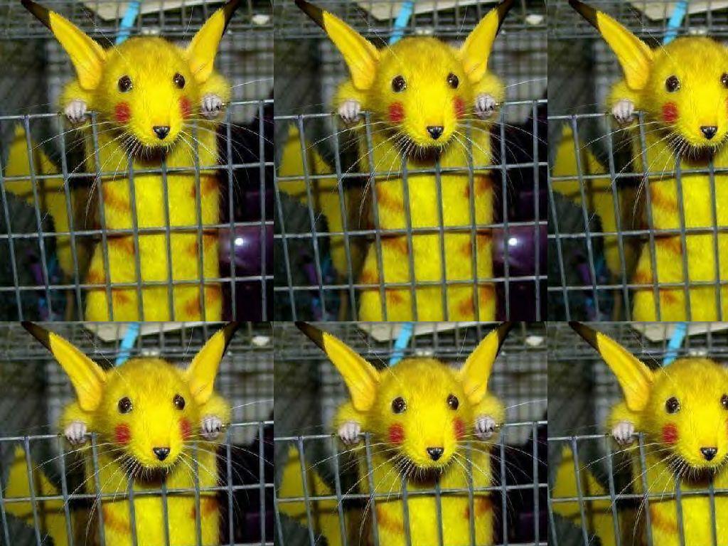 realpika