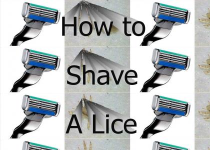 Shave Lice