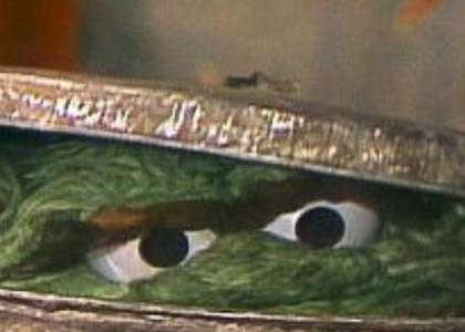 Oscar The Grouch Stares Into Your Soul!