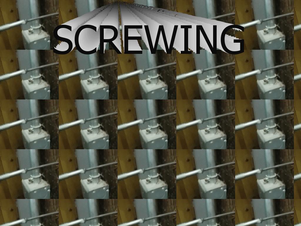 screwing2
