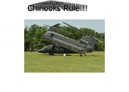 Battle Of The Helos