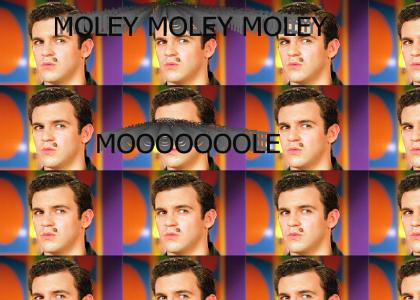 MOLEY MOLEY MOOOOOOLE