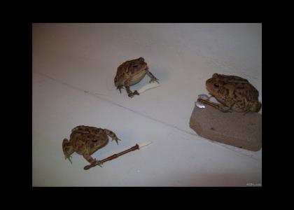 BATTLE TOADS