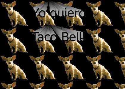 Yo quiero taco bell