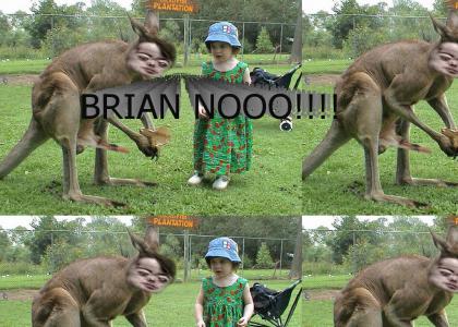 Kangaroo Brian Peppers