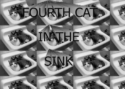 FOURTH CAT IN THE SINK