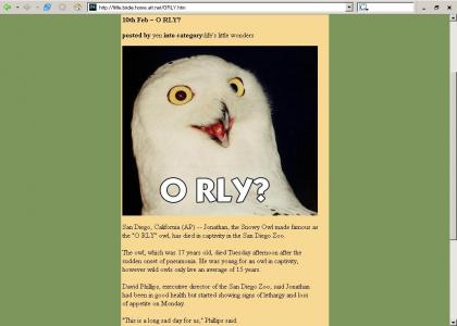 R.I.P. O Rly Owl. :(