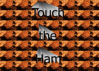 hamtouch