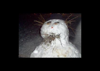 Best Snowman Ever