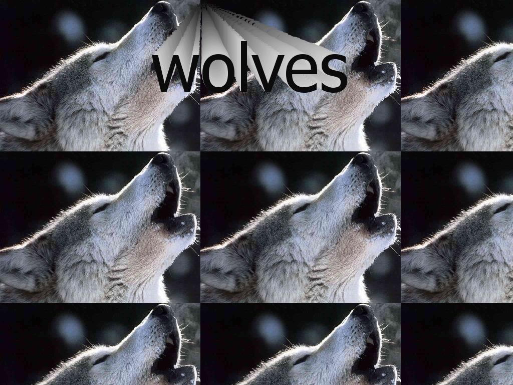 wolves