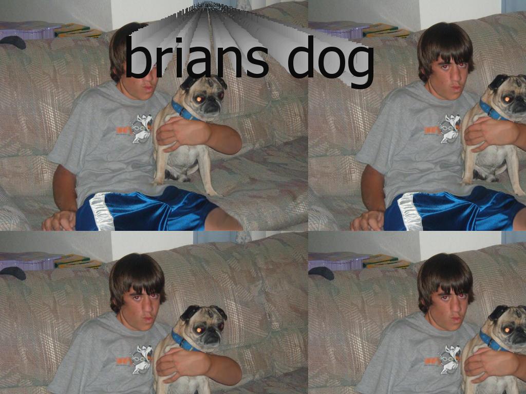 brian-pepp-dog