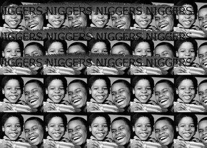 NIGGERS