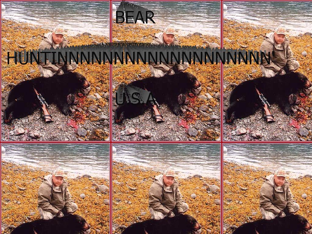 bearhuntinusa