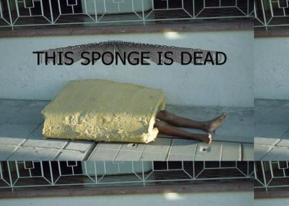 Sponge Bob is.....  homeless!