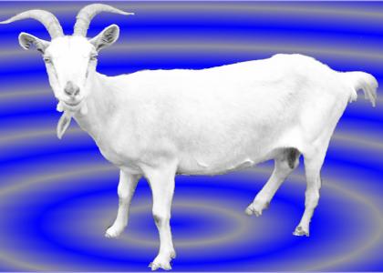 hypno-scary-goat