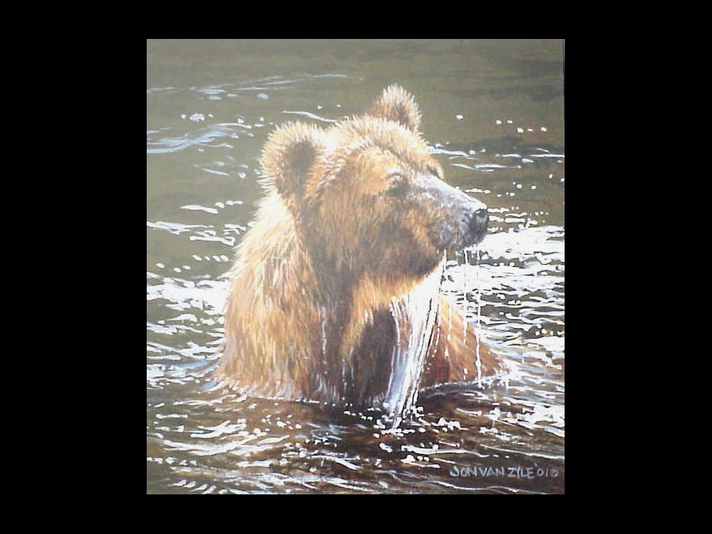 bearwater