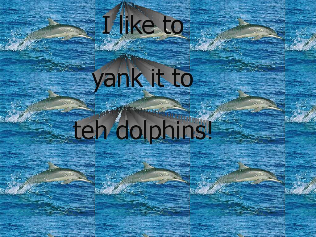 dolphinyank