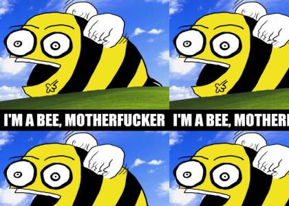 I'm a BEE