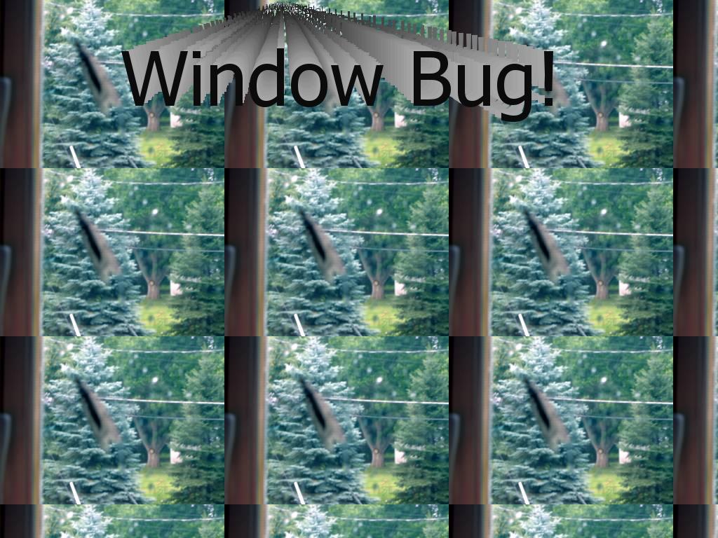 windowbug