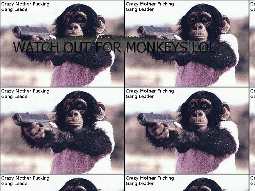 monkeyganglol